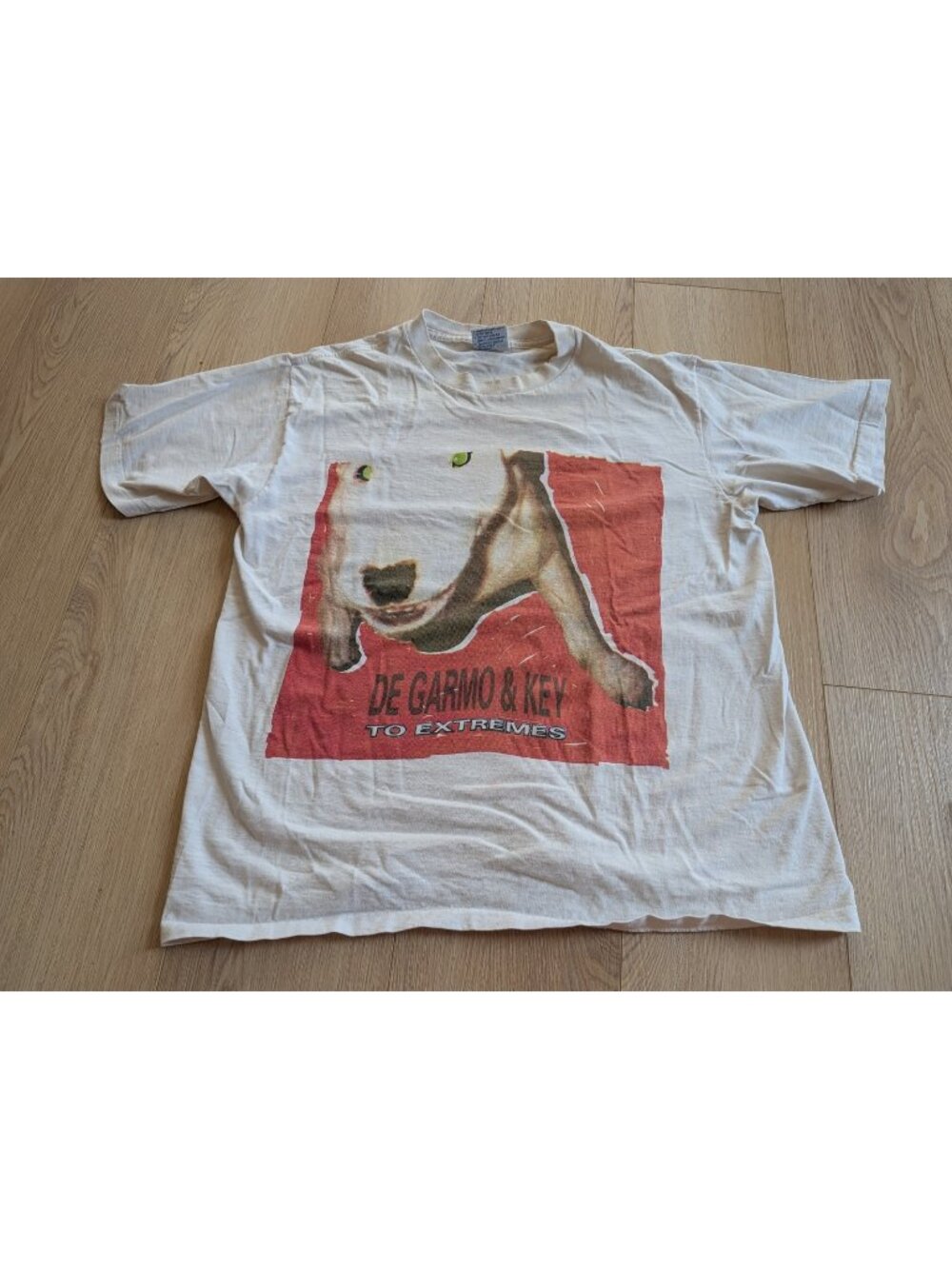 Title: Rare Vintage 1994 DeGarmo & Key "To Extremes" Tour Shirt - Size Large